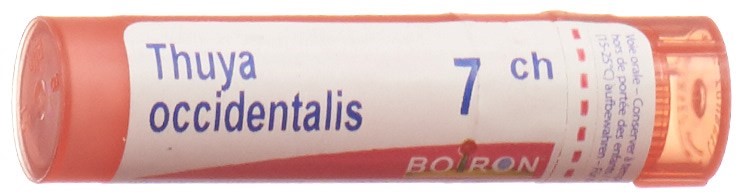 Boiron Thuya occidentalis Gran 7 CH 4 g
