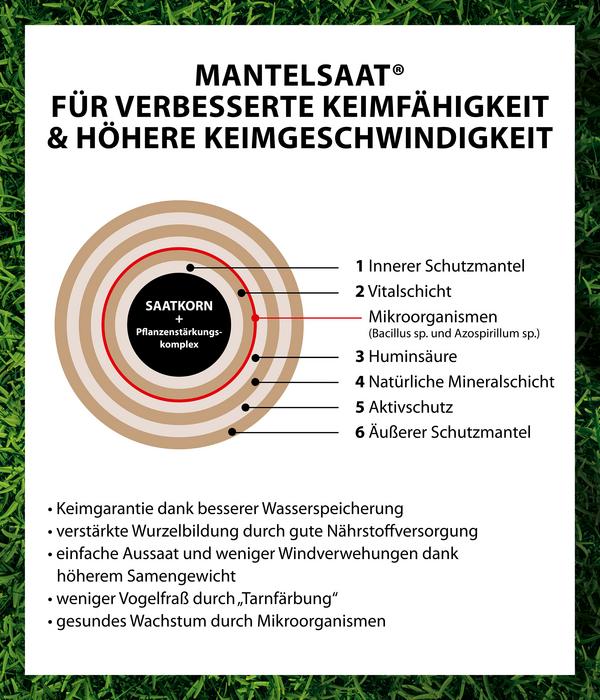Dehner Saatgut Schattenrasen