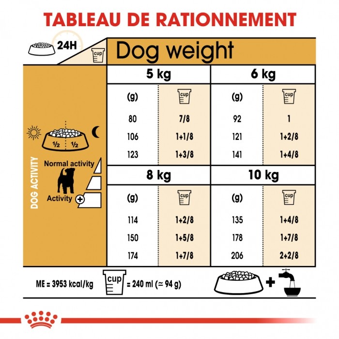 Royal Canin Jack Russell Adult - Croquettes pour chien