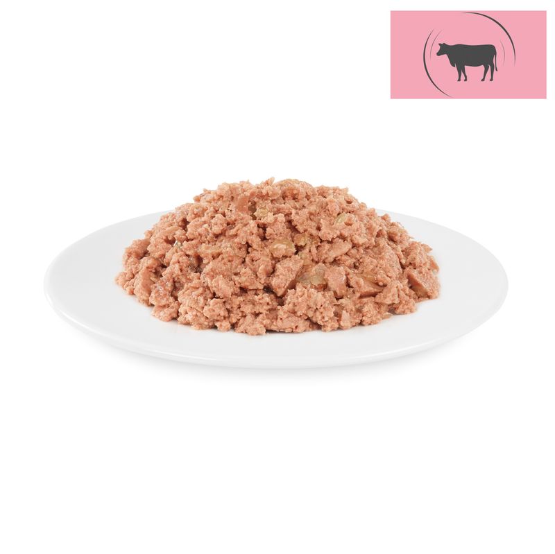 Lot Briantos Delicious Paté 48 x 100 g pour chien ✓ pas cher