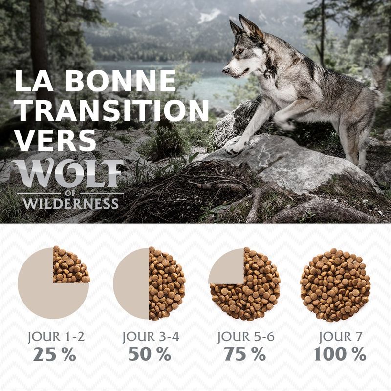 Wolf of Wilderness Ruby Midnight bœuf, lapin - sans céréales