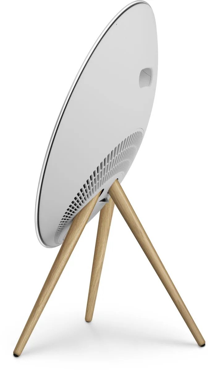 Bang & Olufsen Beosound A9 5th Gen Gris Enceintes connectées
