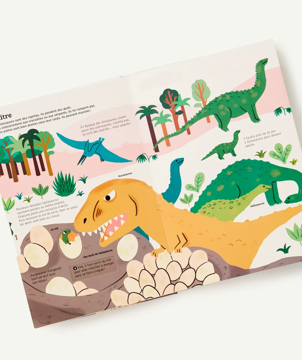TOURBILLONLE LIVRE ANIMÉ DES DINOSAURES