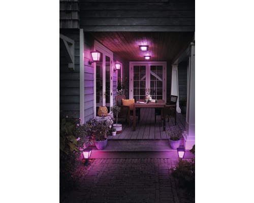 Philips Hue LED wandlamp White & Color Ambiance 1150 lm zwart - Compatibel met SMART HOME van Hornbach
