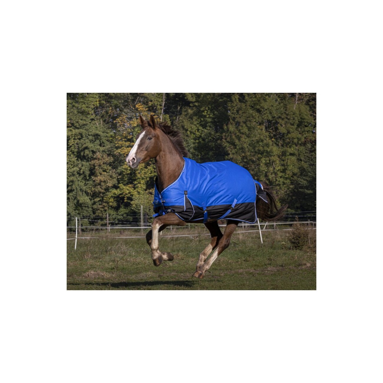 Equitheme Regendecke Aisance 0 g 1,55 m