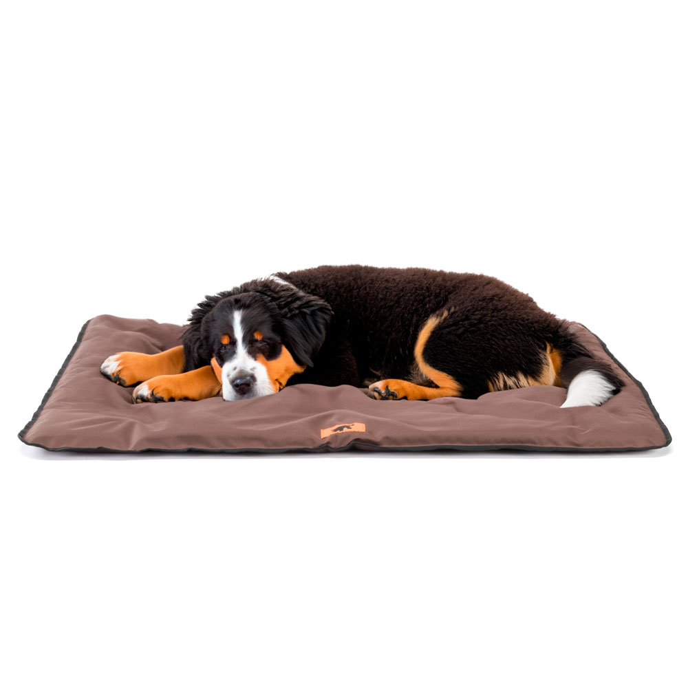 Ferplast panier pour chien chat - lit chien très grand lavable - matelas chien - coussin chien chat - imperméable & anti-rayures -
