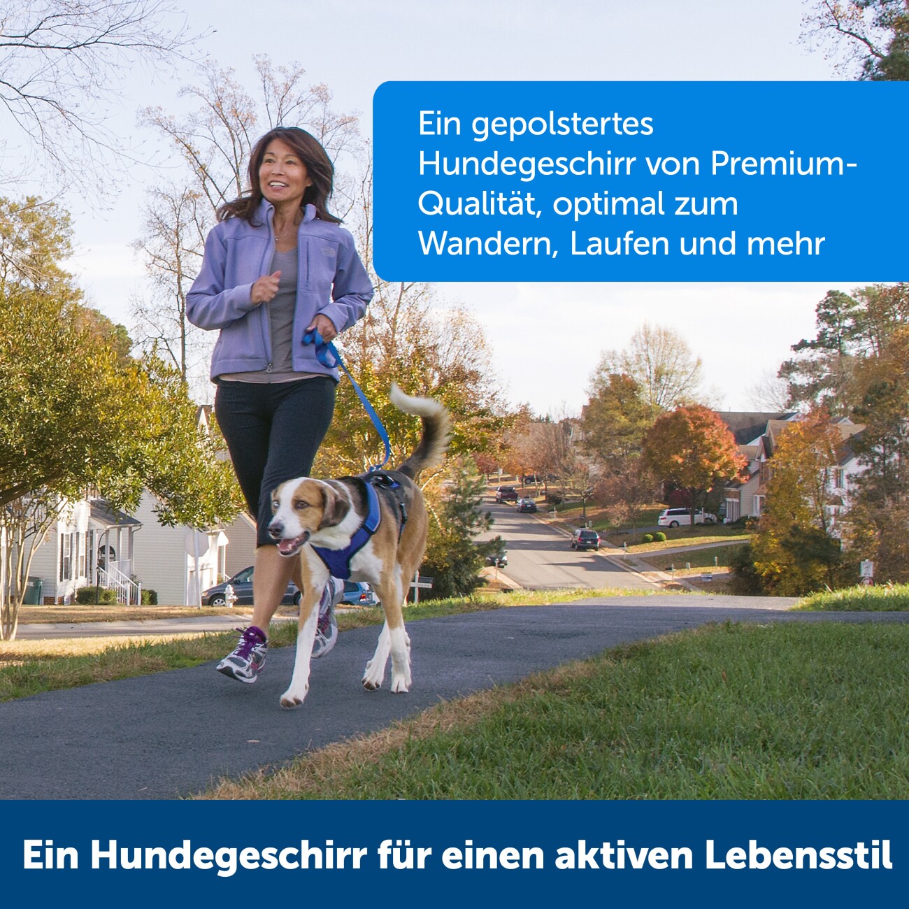 PetSafe EasySport Hundegeschirr rot S