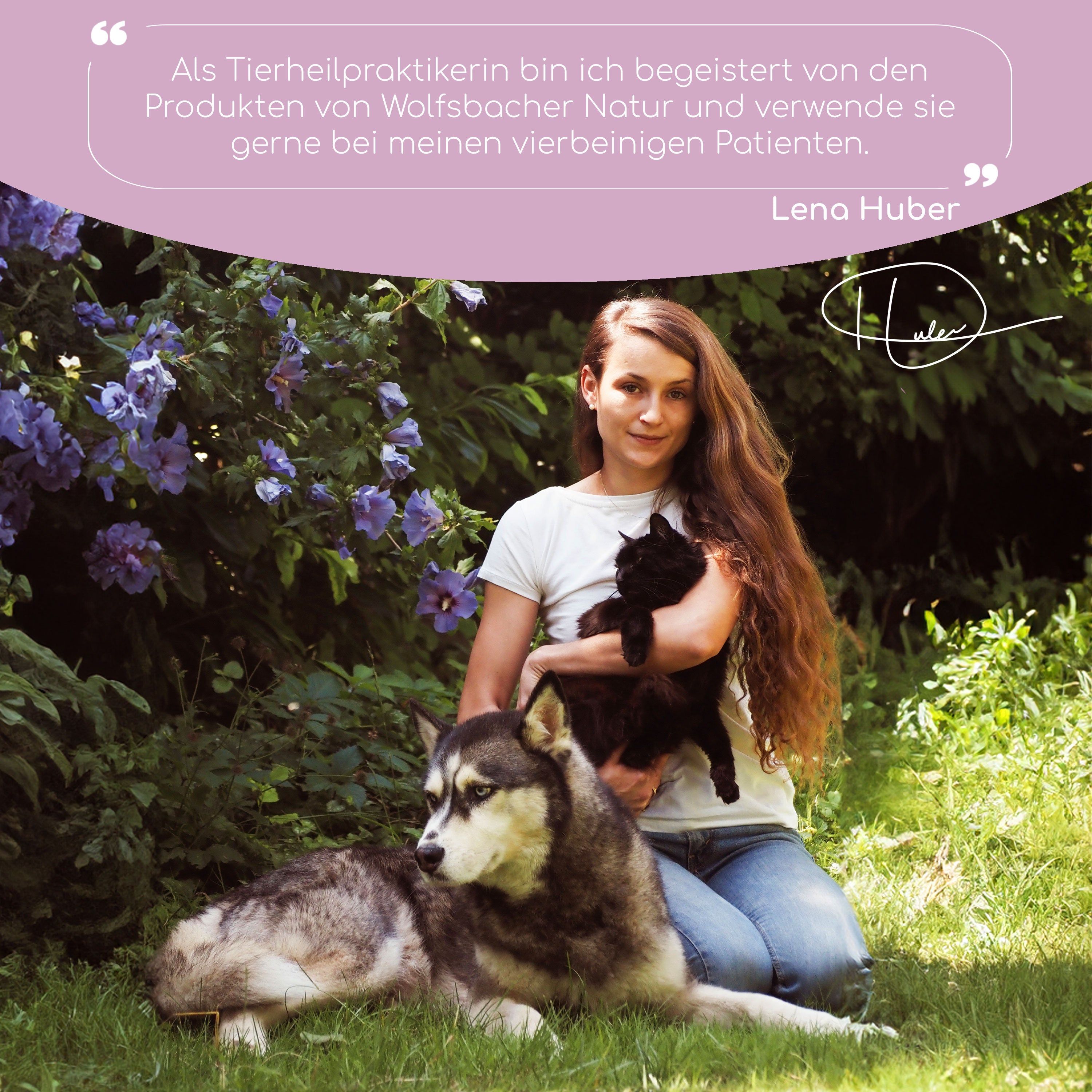Wolfsbacher Natur Bachblüten Aggression