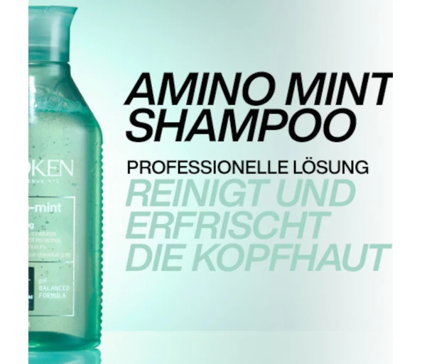 Redken Amino Mint Shampoo