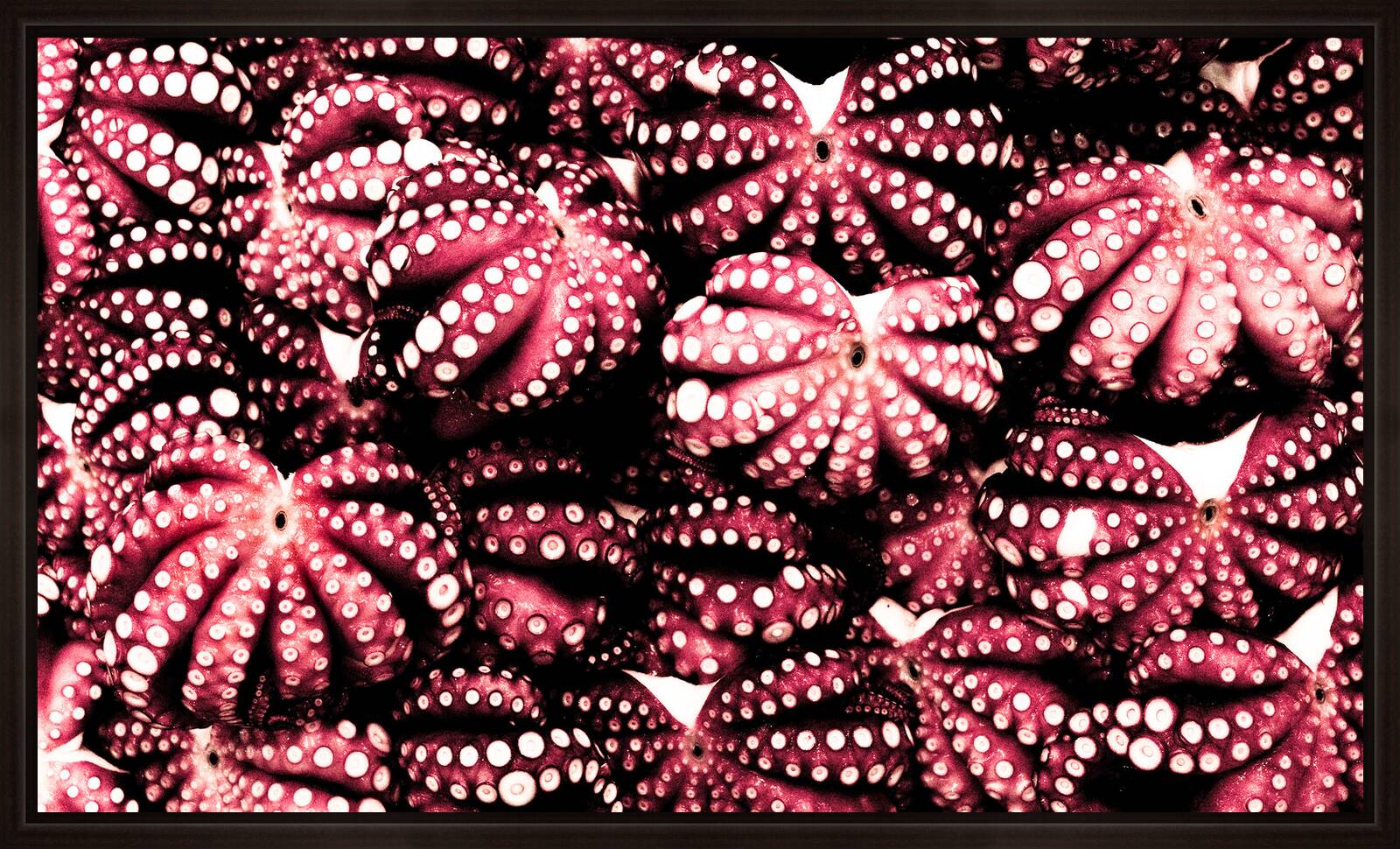 Tintenfische (Tsukiji) by Farin Urlaub - Limited Edition. Edition of: 100. Signed.