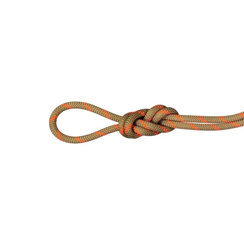 8.0 Alpine Dry - Corde escalade