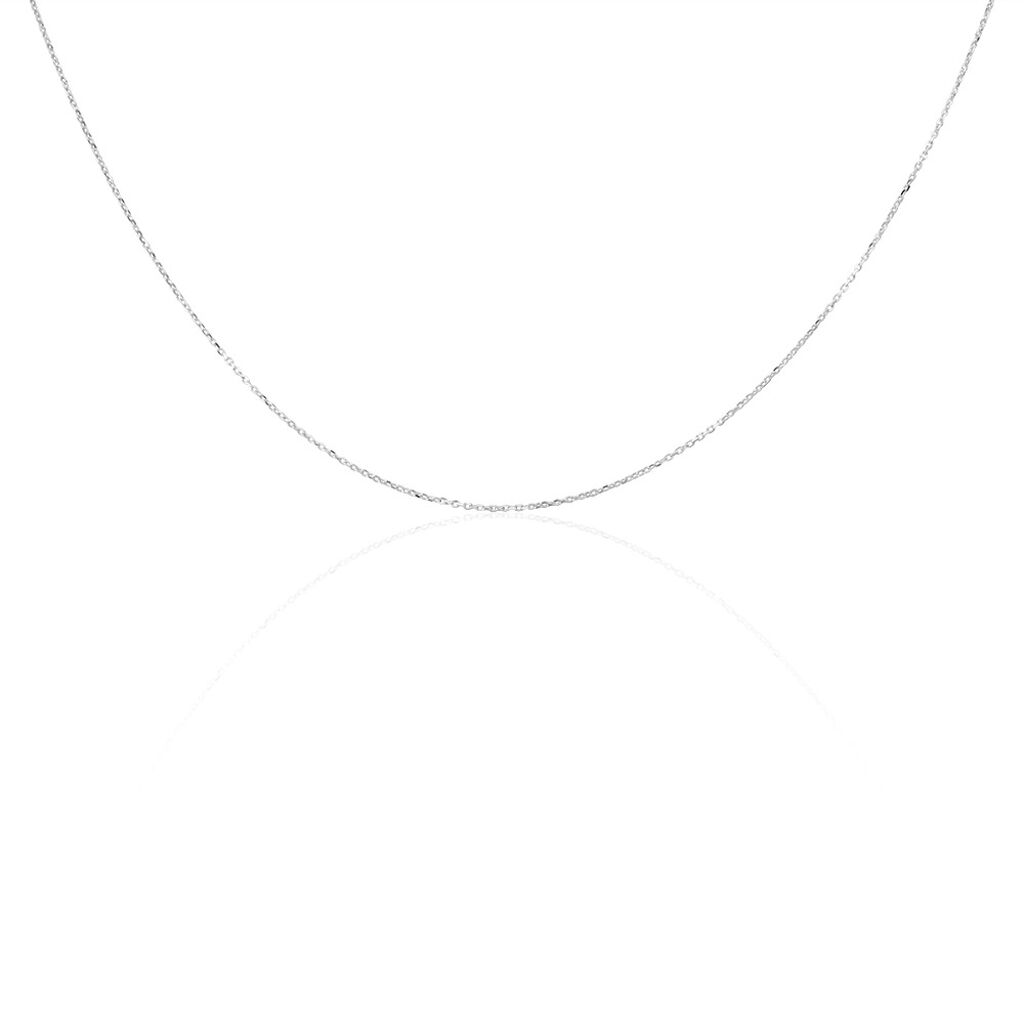 Chaîne Igoa Maille Forçat Diamantee Or Blanc