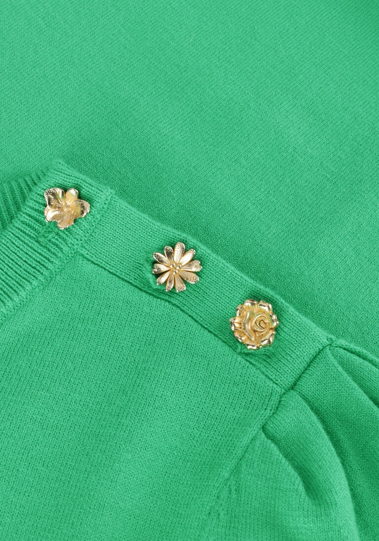 FABIENNE CHAPOT groene fabienne chapot trui jolly pullover