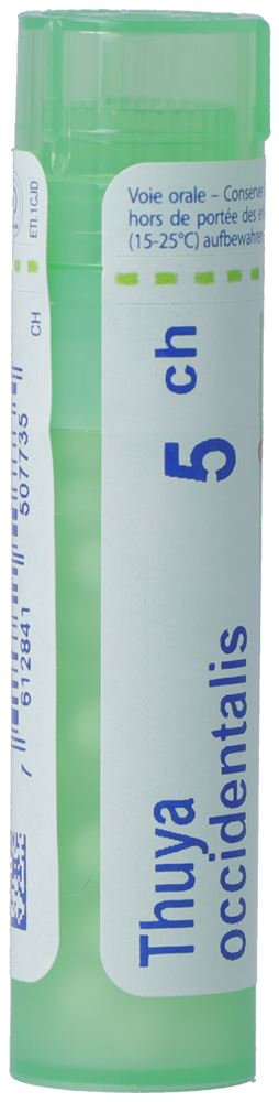 Boiron Thuya occidentalis Gran 5 CH 4 g