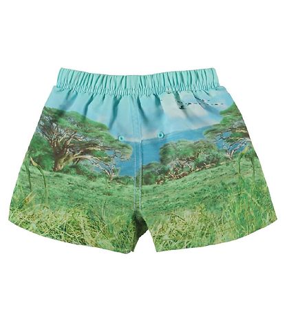 Molo Bådeshorts - UV50+ - Newton - Lion Cub