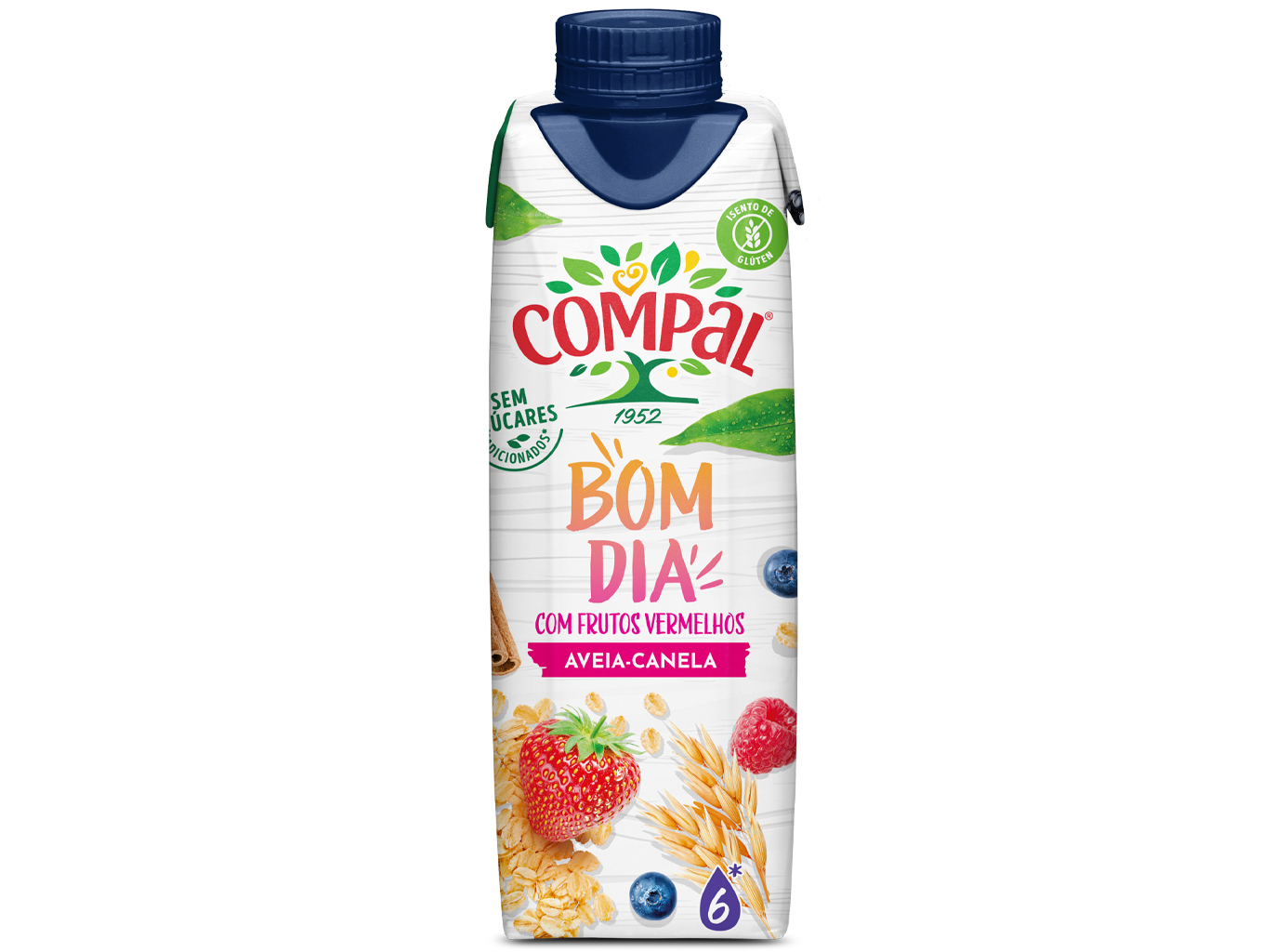 NECTAR COMPAL VITAL BOM DIA AVEIA CANELA 0.30L