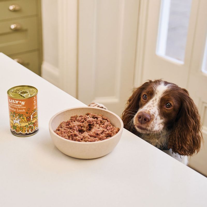 Lily's Kitchen Dinner 6 x 400 g pour chien