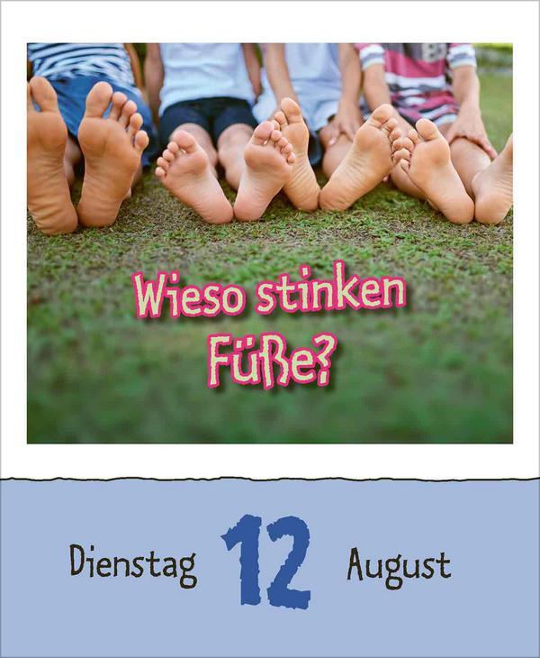 Warum wackelt Wackelpudding? 2025