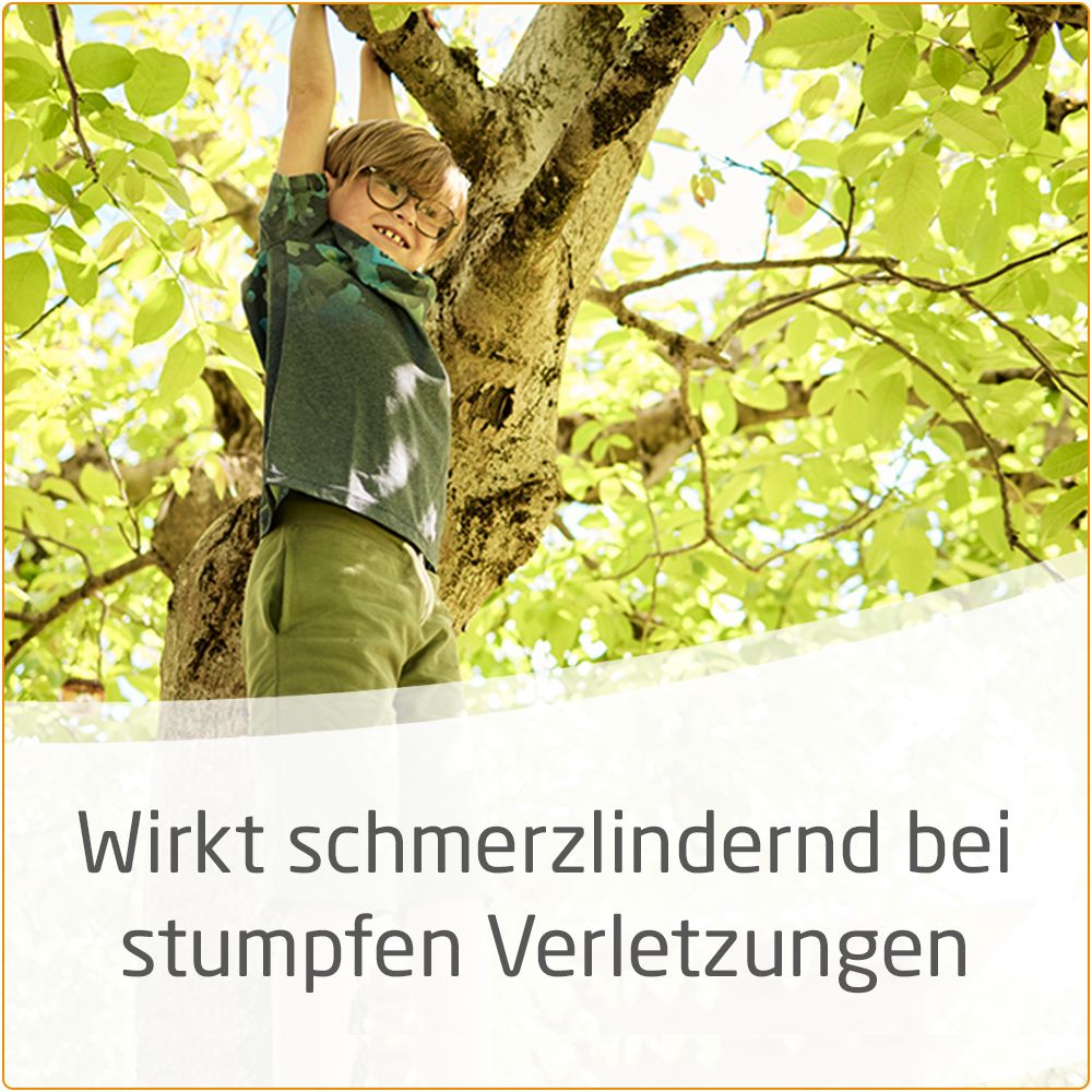 Arnika-Salbe 30% zur wirksamen Behandlung von Prellungen, Hämatomen, Zerrungen und Quetschungen