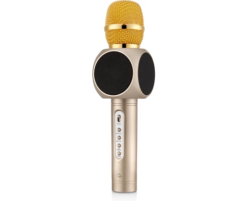 Andersson PYM 100 - Gold