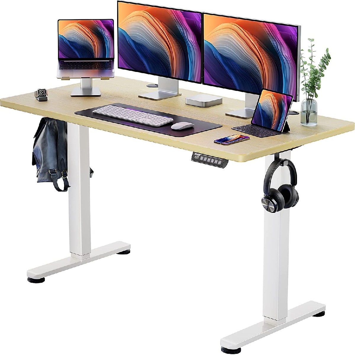 ErGear Height Adjustable Electric Standing Desk,Memory Computer Home Office Desk
