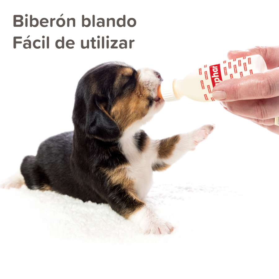 Kit de mamadeira Beaphar Lactol PET
