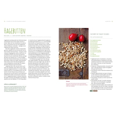 Essbare Wildsamen