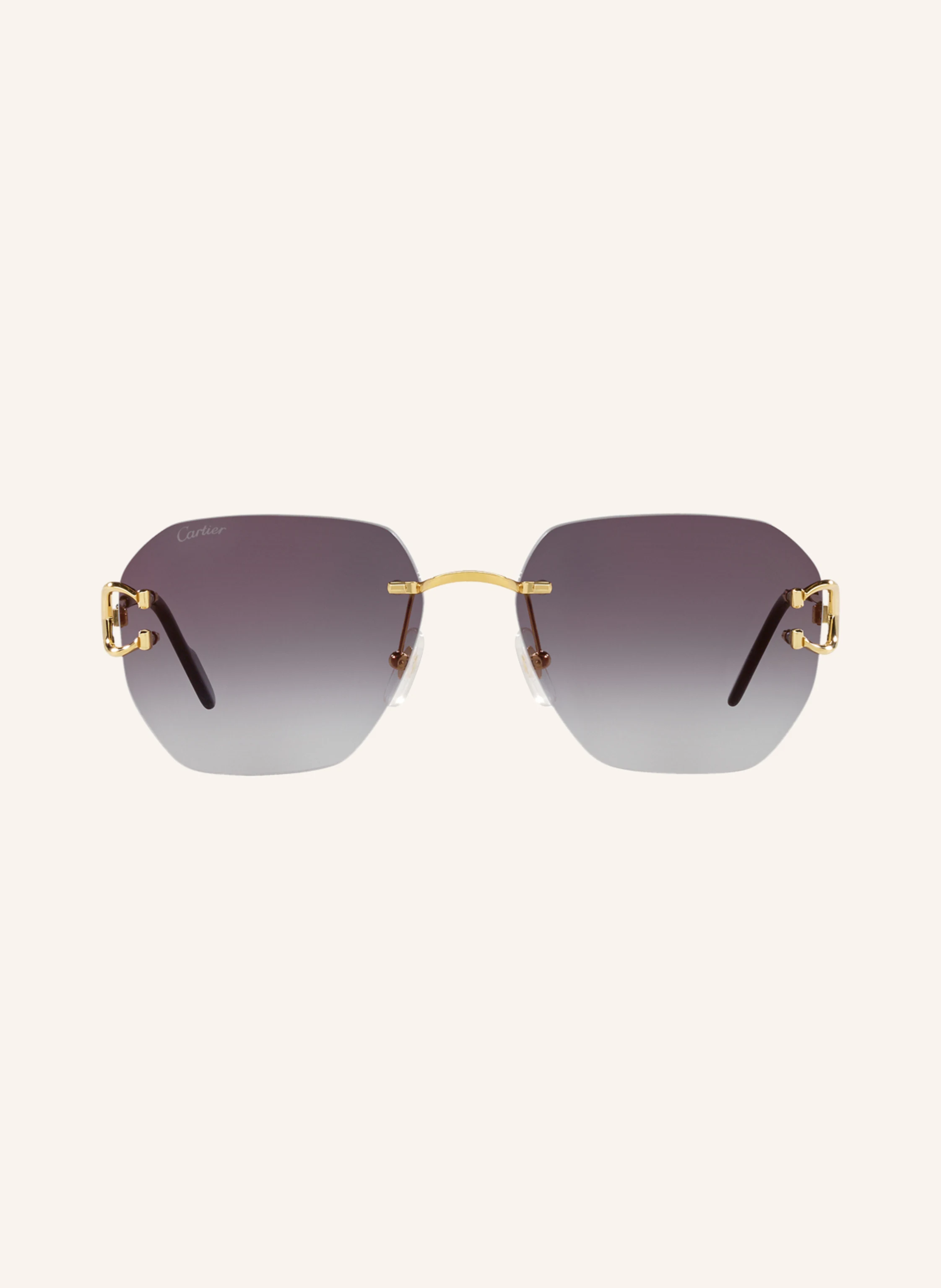 Cartier Sonnenbrille 6L001667
