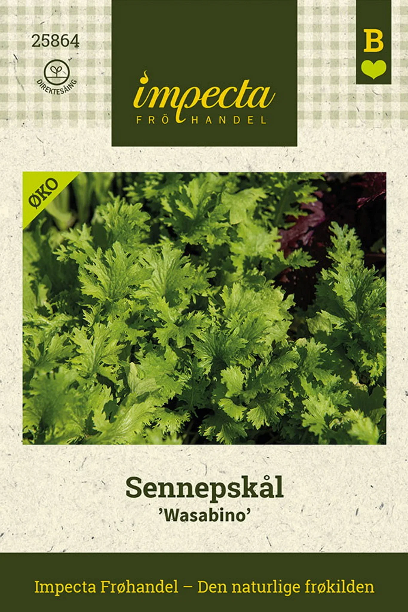 Brassica juncea 'Wasabino' Sennepskål 'Wasabino'