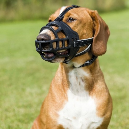 focinheira preta para cachorro