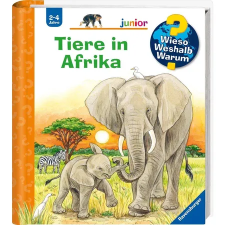 Ravensburger Wieso? Weshalb? Warum? Mein erstes Vorschulbuch: Buchstaben und Zahlen