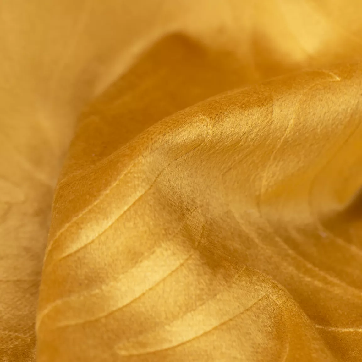 Rideau obscurcissant velours (140 x 280 cm) Fern Jaune ocre