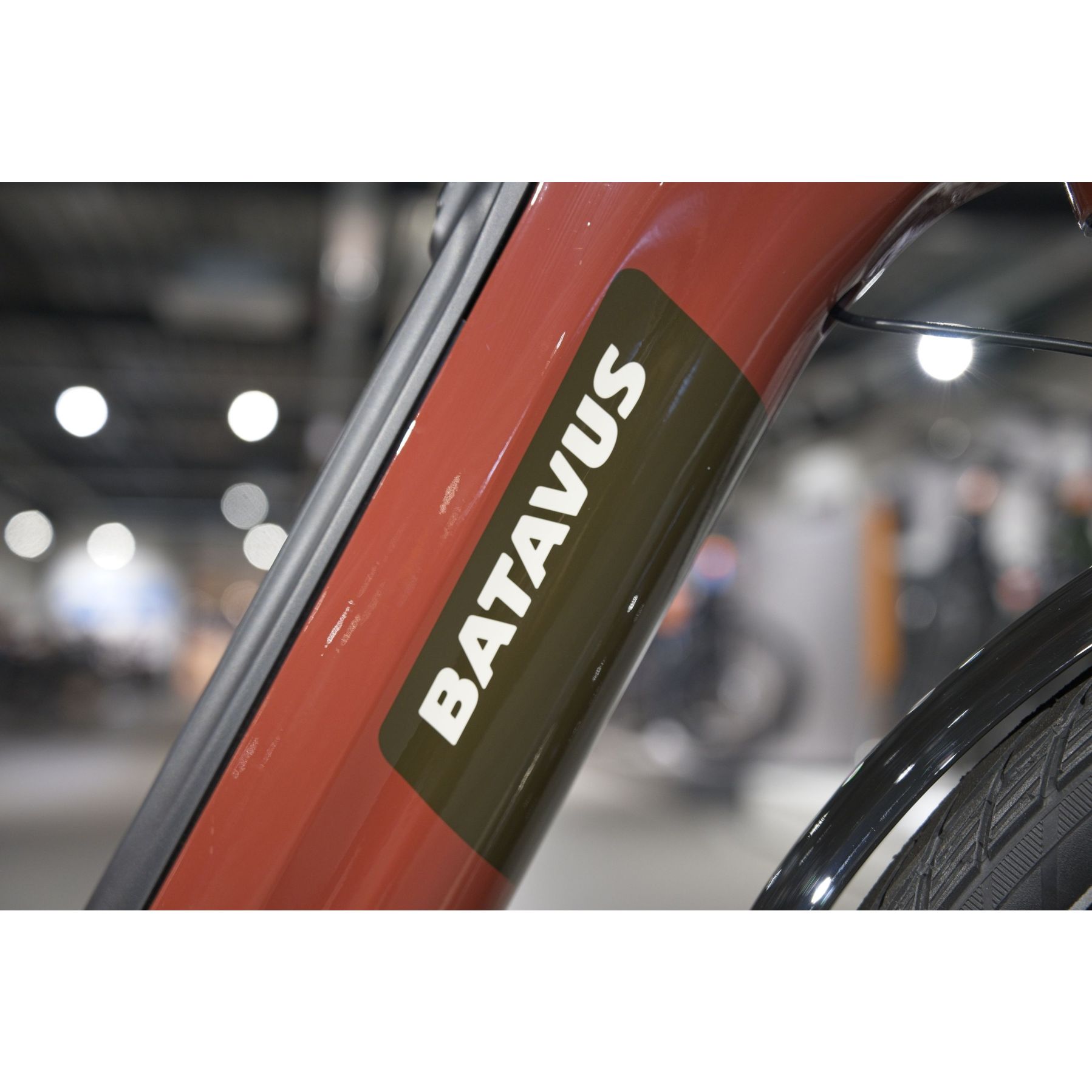 Batavus Altura E-Go Power Pro 2025