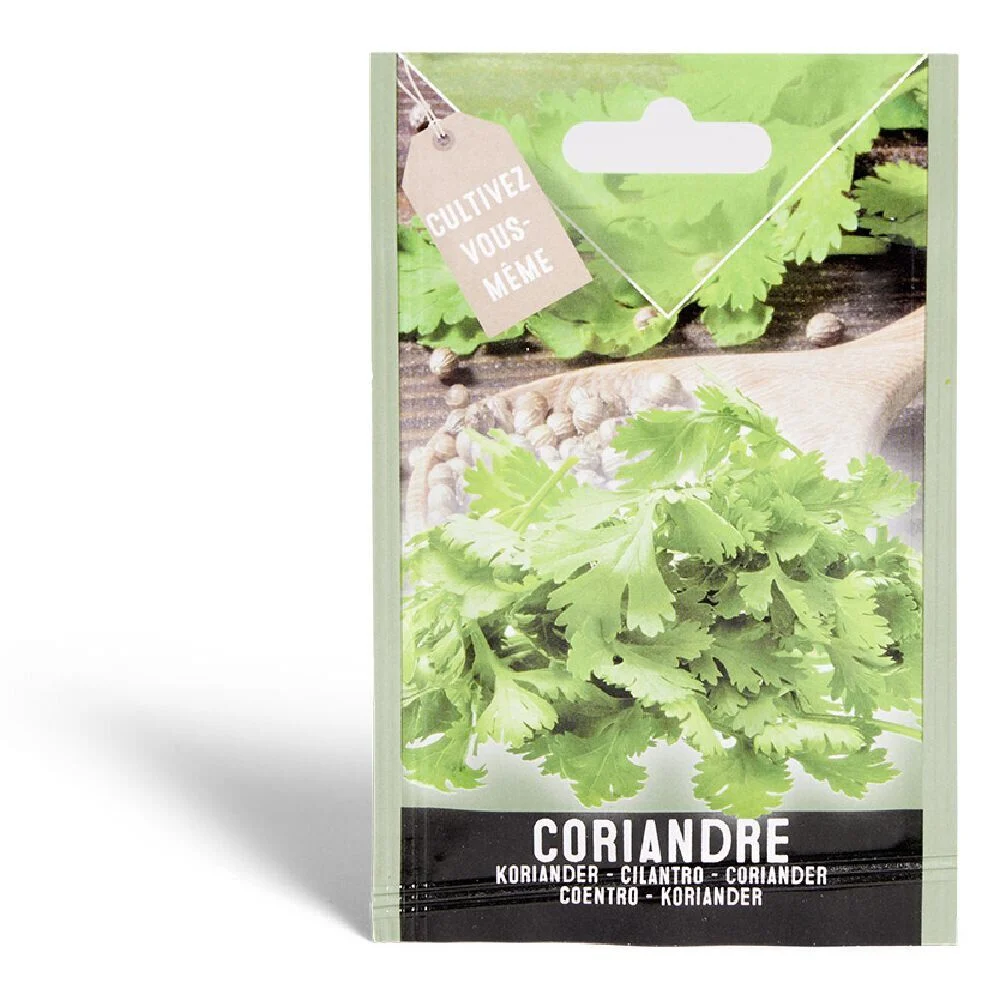 Semence coriandre 1g