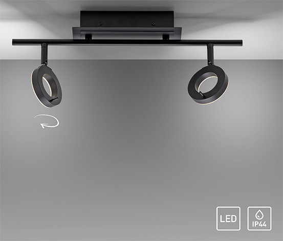 Paul Neuhaus LED-Deckenleuchte »Sileda«, klein
