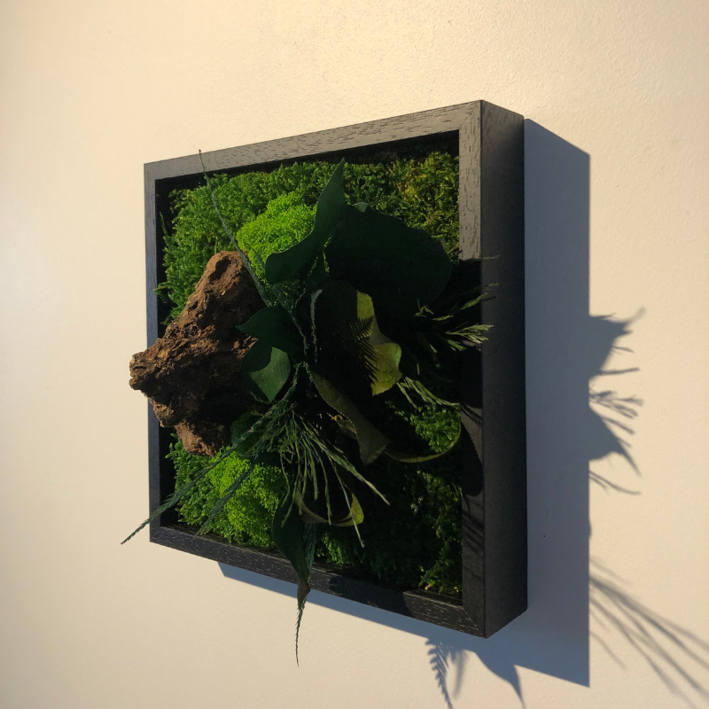 Stab canope mono - noir 22x22