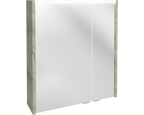 FACKELMANN Denver Oxford Hype 3.0 spiegelkast, 60 x 16 x 68,3 cm, eiken natuur, 2-deurs, LED, IP20