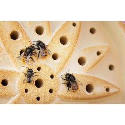 Wildbienenhaus Keramik