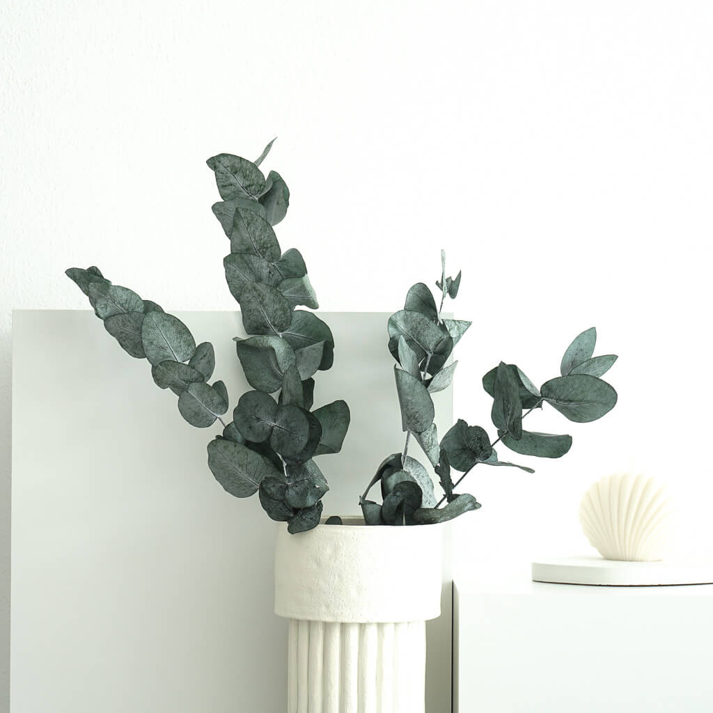 Geconserveerde Eucalyptus Cinerea - Een vleugje natuur dat lang meegaat! - 3-4 stengels
