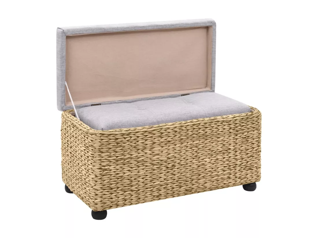 Ensemble de banc lot de 2 Jacinthe d'eau Gris