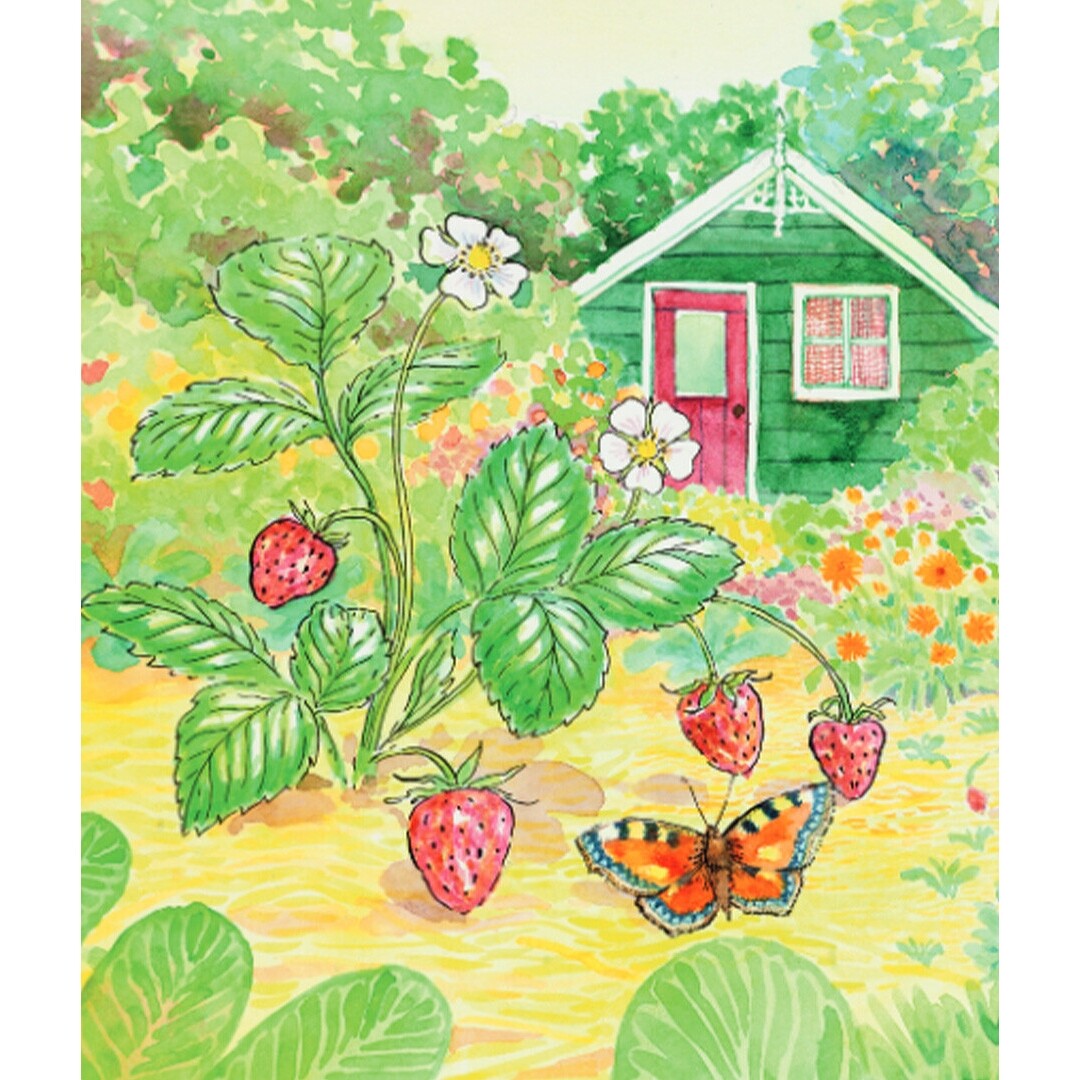 Uitgeverij christofoor kartonboek zomer