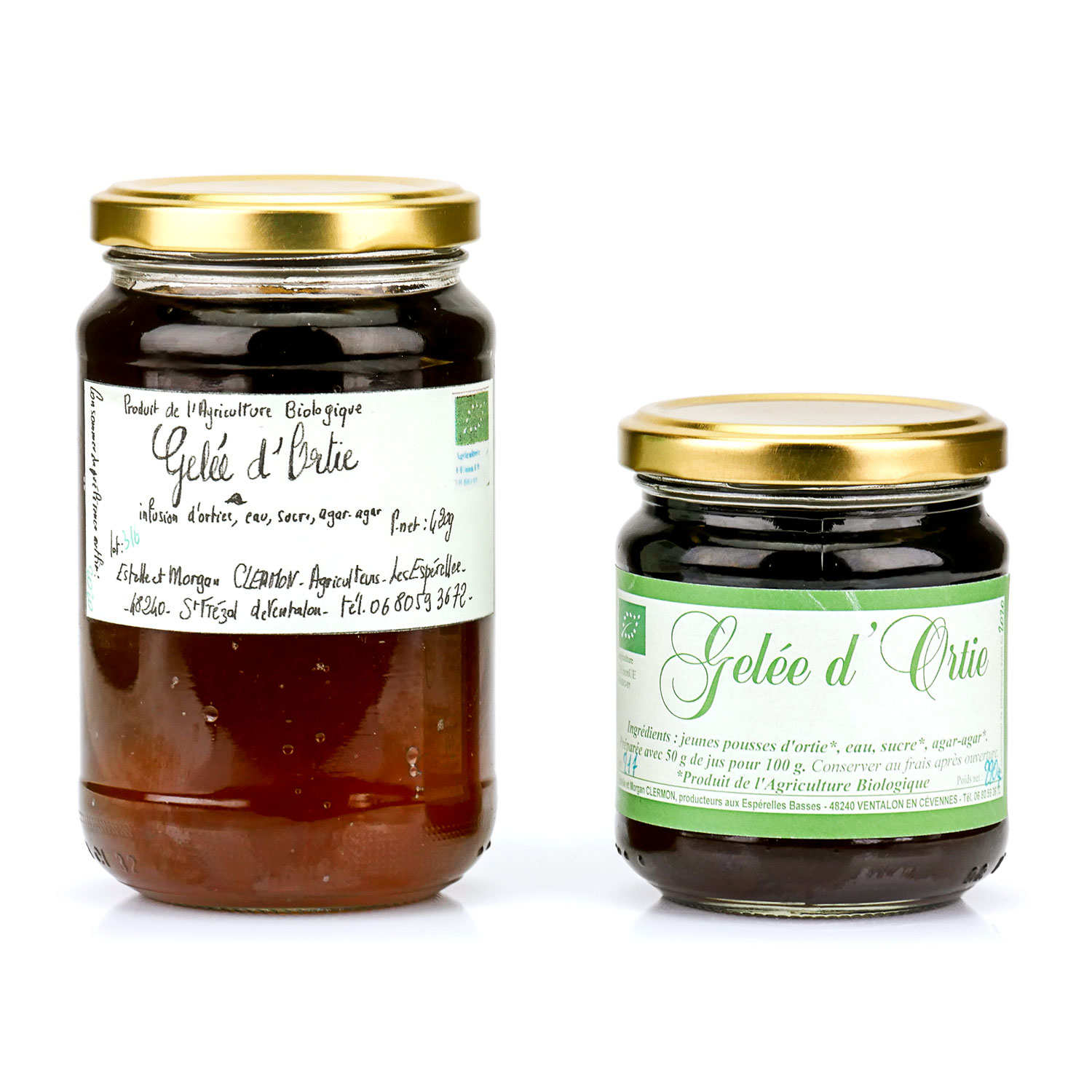 Gelée d'ortie des Cévennes