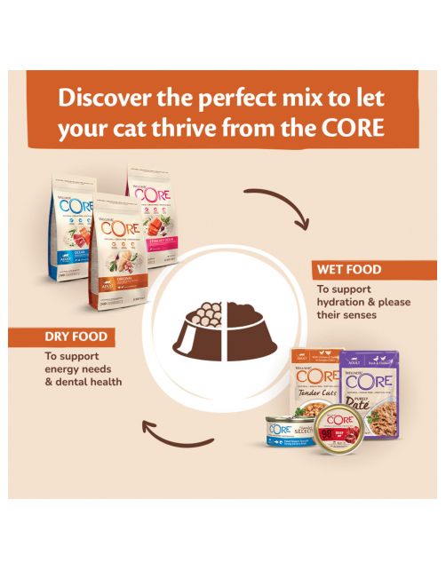 Wellness Core Purely Pate - Kattenvoer - Kip 85 g