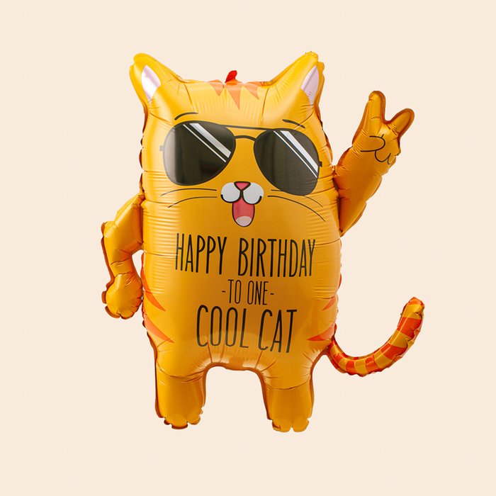 Ballon | XL | Verjaardag kat