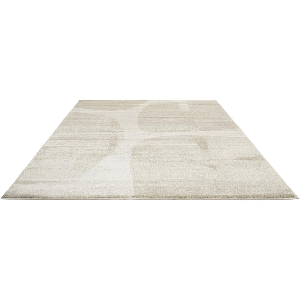 Vloerkleed Sagra Zand 200x290 cm