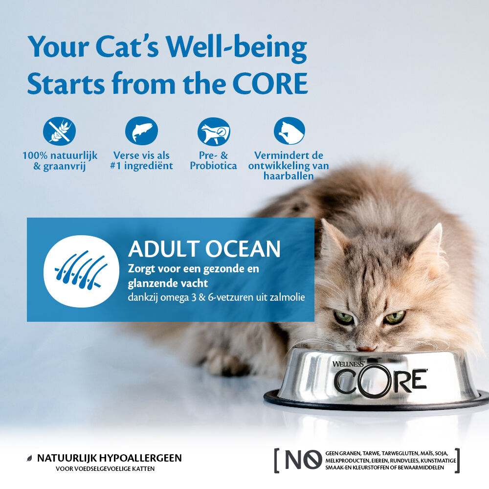 Wellness Core Adult Ocean - Kattenvoer - 4 Kilogram - tonijn, zalm