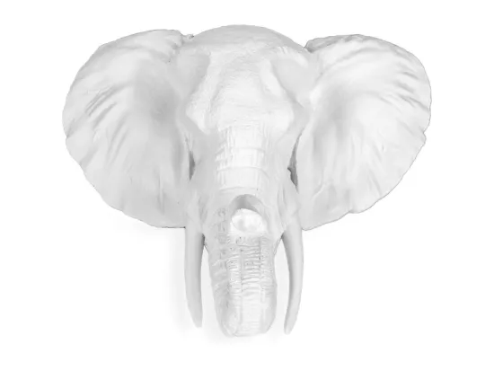 Tête d'éléphant – Résine Blanc