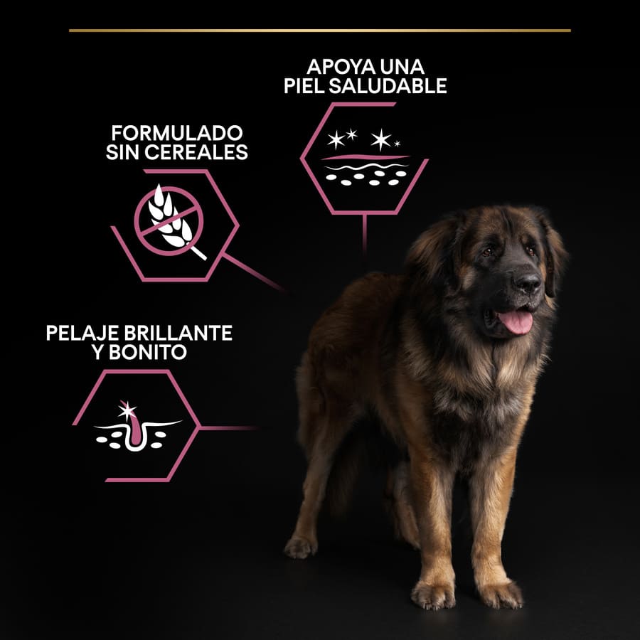 Pro Plan Adult Large Robust Salmon Dog Food para cães com pele sensível.