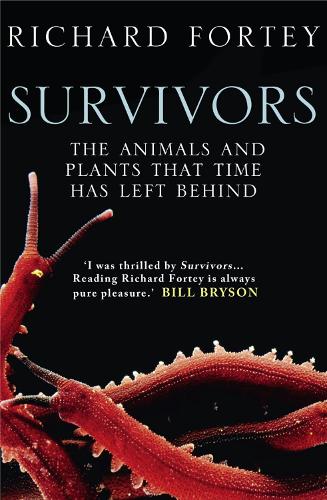 Survivors: The Animals and Plants That Time Has Left Behind (Paperback)