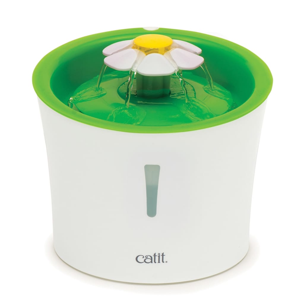 Fonte de Flor de Gato